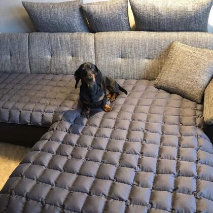 Nr. 6062ST  / T.+371 29661256 / E-mail : akalnina622@inbox.lv